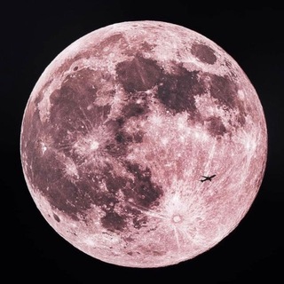 moonlight~•