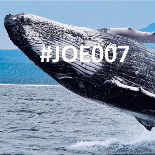 Joe007 Bitfinex Whale 🍃