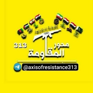 محور المقاومة ٣١٣ ❤️✌️