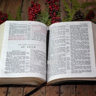The Bible Project