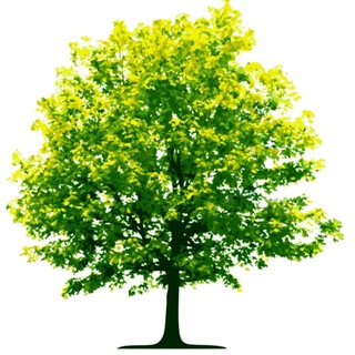 Environment Notes EVS Notes Study Material PDF Previous Year Question Paper