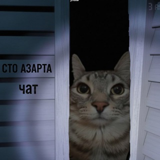 Чат СТО | Азарта⚒️