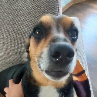 Сева