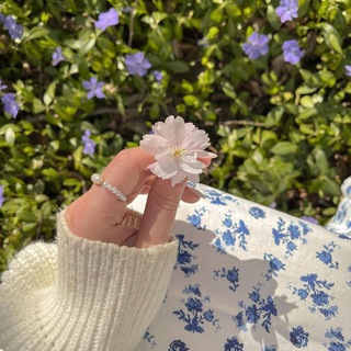 🦋𓈖༤ Dumpling 𓏲 ּ ֶָ⬩