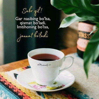 Allohga Oshiqlar في حب الله🍃