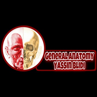 General Anatomy Bot