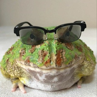 дід душнить