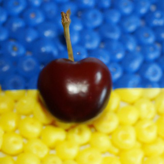 Хуйовый Мелитополь