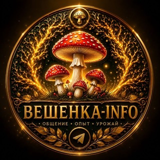 🍄 ВЕШЕНКА-INFO 🇺🇿