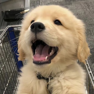 继母