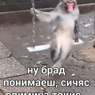 Прайс мишанта