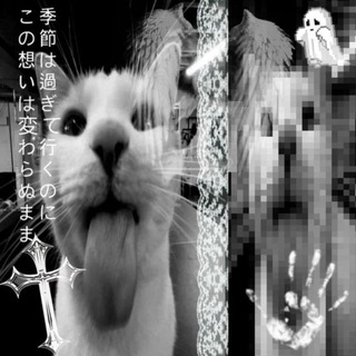 meowwq🧩