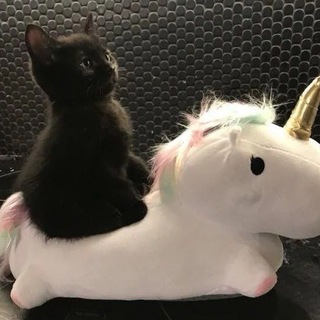 ︎ ︎