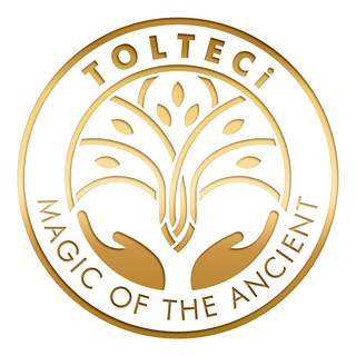 TOLTECi служба заботы