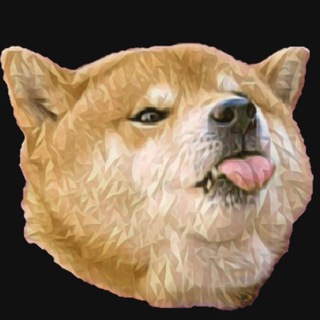 Stupid DogE Coin