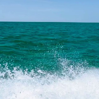🌊 𝓜𝓪𝓻𝓲𝓷𝓪