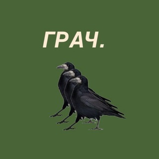 Grach_bot