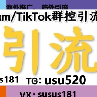 IG海外群发引流协议