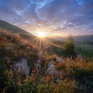 Sunrise Медиа ЖЮ