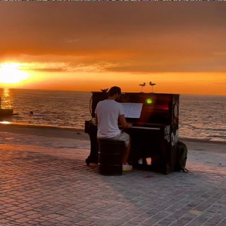 Піаноморе 🎹🌊🕊️