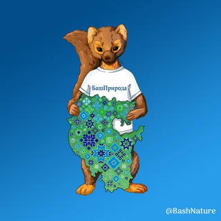 BashNature