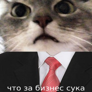 PYGAFKA BOT