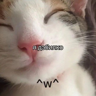 Няшки печатают...
