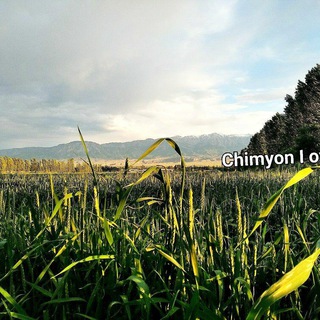 Chimyonliklar I official kanal