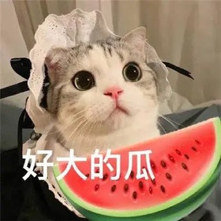 每日吃瓜🍉搞笑|猎奇|头条|爆料💥