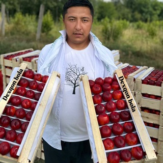 Bekzod Abdullayev