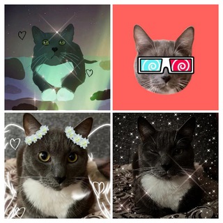 Kotiynet_fan_chat♡