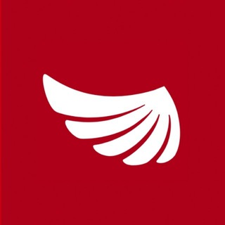 WSS-Consulting