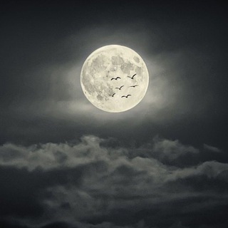 K-pop only moon 💜