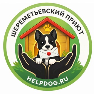 Info_helpdog