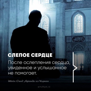 Все уроки Ковчега. Онлайн-медресе