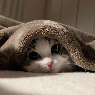 ВЗАИМНЫЙ ПИАР ЧАТ
