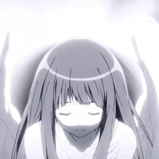 ʚ •°∵🪽∵°• ɞ