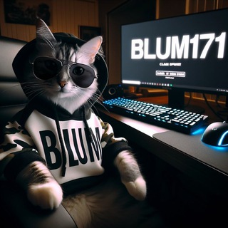Blum (ambassador)