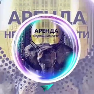 Аренда Киев квартир ⚜️ Оренда Київ | Нерухомість