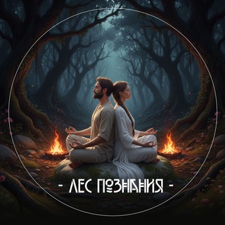 Лес познания