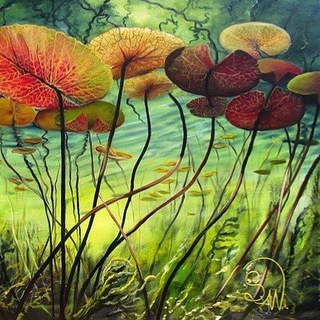 LilyPad