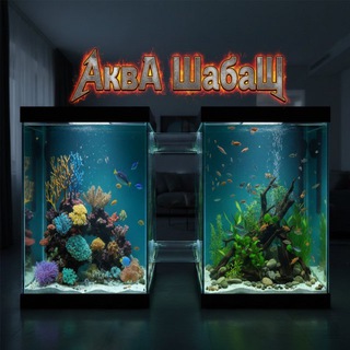 Аква Шабаш Чат