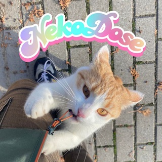 NekoDose