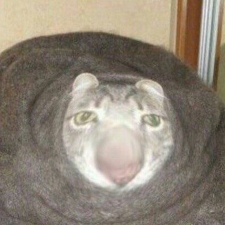 Жистянщик
