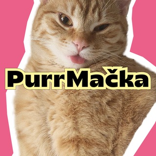 PurrMačka Admin
