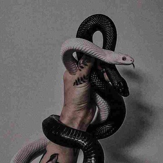ᶜᶜ↯𝐂𝐋𝐀𝐒𝐒 𝐂𝐇𝐀𝐓 ➣