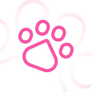 Cats VPN