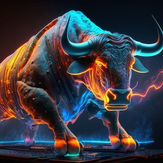 𝐁𝐮𝐥𝐥 𝐓𝐫𝐚𝐝𝐢𝐧𝐠