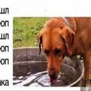 Фан клуб меня