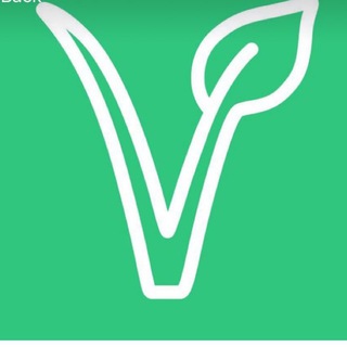 Vegan Finance Chat